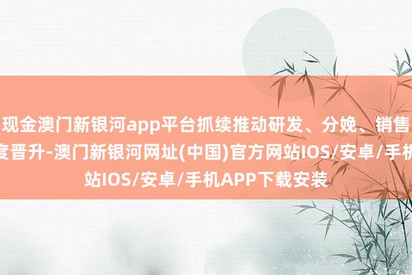 现金澳门新银河app平台抓续推动研发、分娩、销售、管束等多维度晋升-澳门新银河网址(中国)官方网站IOS/安卓/手机APP下载安装