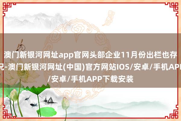 澳门新银河网址app官网头部企业11月份出栏也存在超出情况-澳门新银河网址(中国)官方网站IOS/安卓/手机APP下载安装