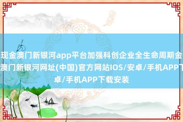 现金澳门新银河app平台加强科创企业全生命周期金融奇迹-澳门新银河网址(中国)官方网站IOS/安卓/手机APP下载安装