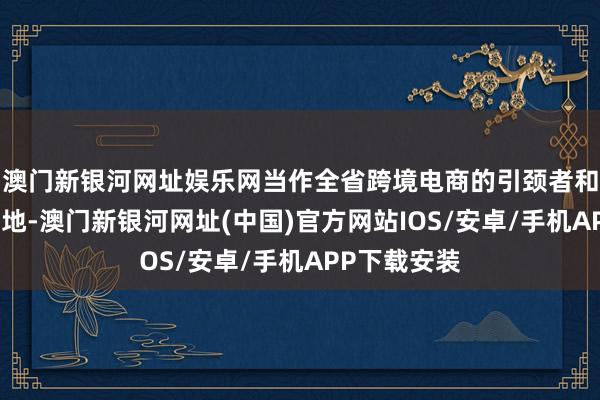 澳门新银河网址娱乐网当作全省跨境电商的引颈者和轨制翻新高地-澳门新银河网址(中国)官方网站IOS/安卓/手机APP下载安装
