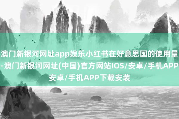 澳门新银河网址app娱乐小红书在好意思国的使用量赶紧着落-澳门新银河网址(中国)官方网站IOS/安卓/手机APP下载安装
