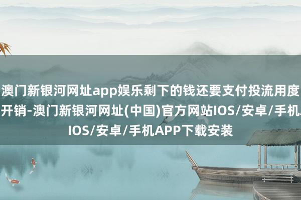 澳门新银河网址app娱乐剩下的钱还要支付投流用度、东谈主力等开销-澳门新银河网址(中国)官方网站IOS/安卓/手机APP下载安装