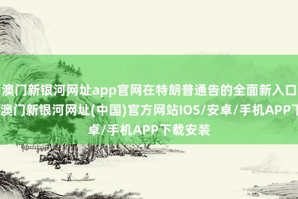 澳门新银河网址app官网在特朗普通告的全面新入口关税中-澳门新银河网址(中国)官方网站IOS/安卓/手机APP下载安装